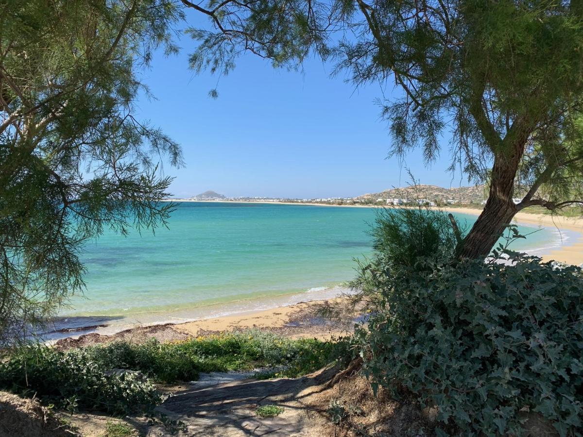 Villa Paradise In Naxos Plaka  Exterior photo