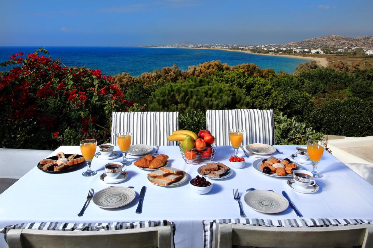 Villa Paradise In Naxos Plaka  Exterior photo