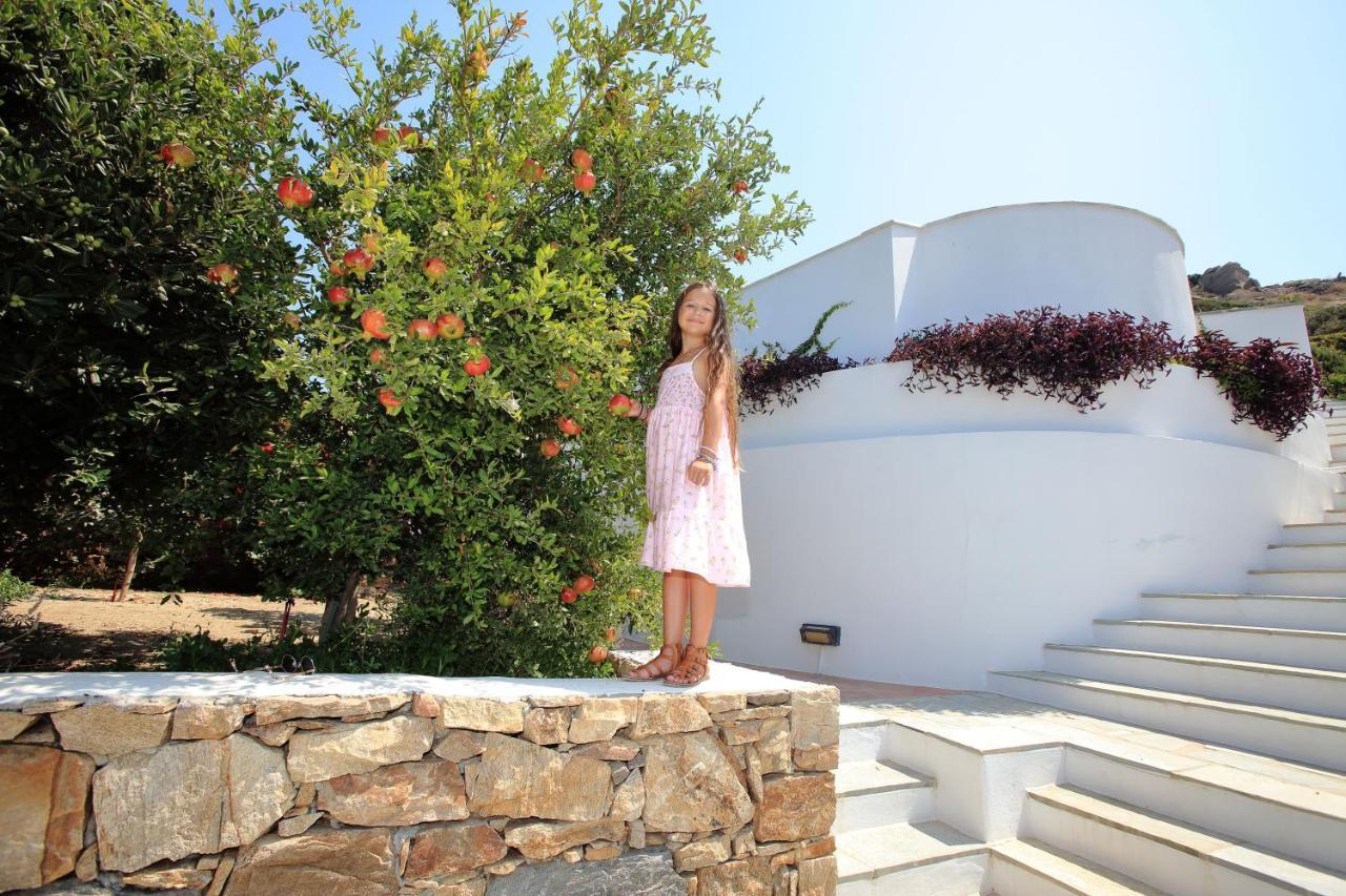 Villa Paradise In Naxos Plaka  Exterior photo